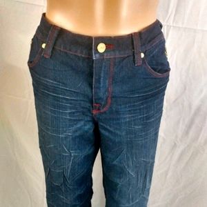 Fabulosity Lixe Denim Jeans